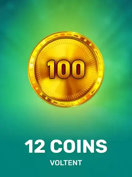 12 Coins 94 game cover