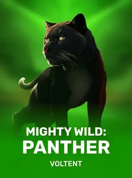 Mighty Wild Panther 94 game cover